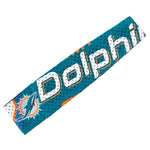Miami Dolphins FanBand