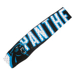 Carolina Panthers FanBand