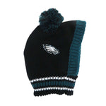 Philadelphia Eagles Team Pet Knit Hat (Small)